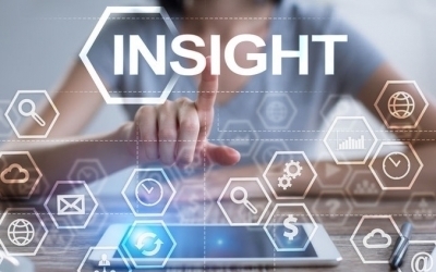 Insights Research Hub